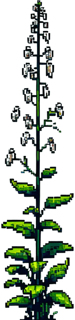 Generated image by ai