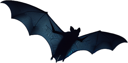 bat flying.