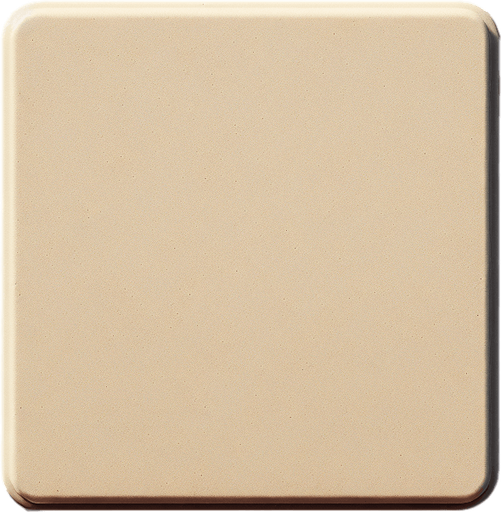 a photo realistic top view of empty flat beige plastic square. Single Game Texture. In-Game asset. 2d. No background. High contrast. No shadows.